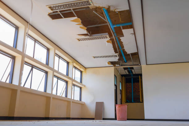  Willcox, AZ Water damage restoration Pros