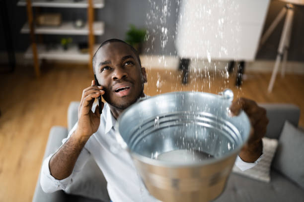 Best Flooded house restoration  in Willcox, AZ