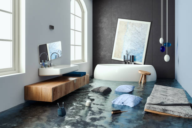 Best Local water damage restoration  in Willcox, AZ