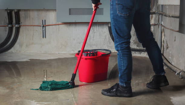 Best Water damage restoration process  in Willcox, AZ