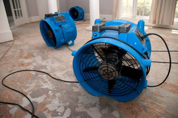 Best Emergency water extraction  in Willcox, AZ