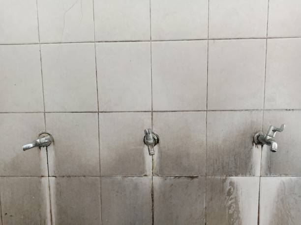 Best Water damage restoration near me  in Willcox, AZ
